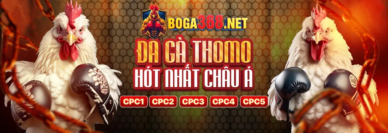 Tiền thưởng chào mừng 1win Games cho người chơi mới