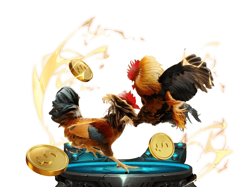 Các loại hình cá cược thể thao 1win games